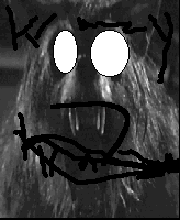 krazy man